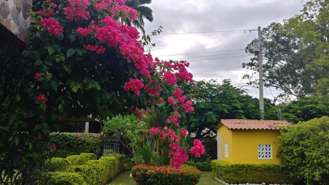 Casa De Los Suenos B&B Coronado Panama Playa Coronado Exteriör bild