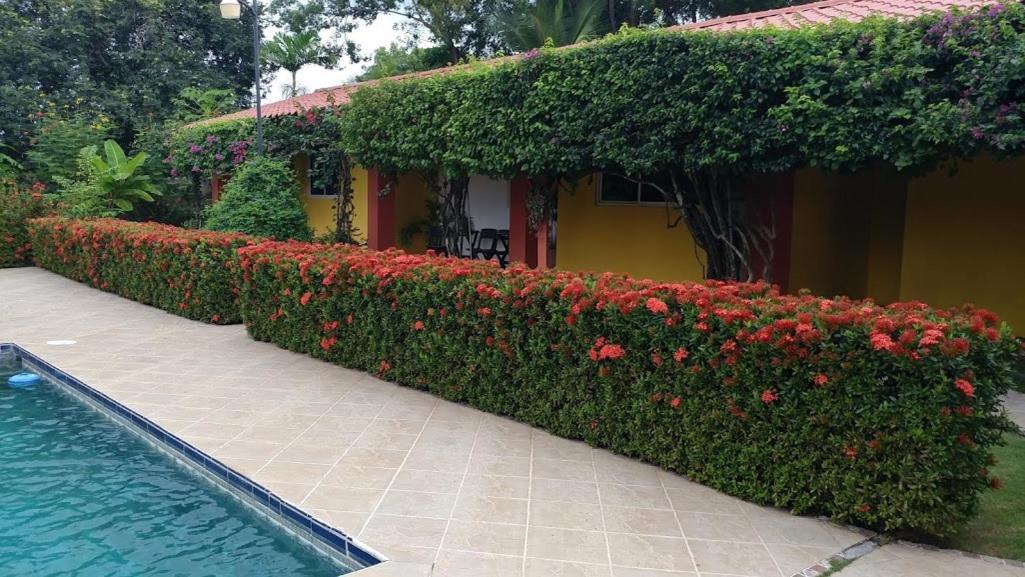 Casa De Los Suenos B&B Coronado Panama Playa Coronado Exteriör bild
